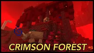 Minecraft Crimson Forest Explained[20w07a]