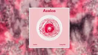 [8+] Free Sample Pack/Loop Kit 