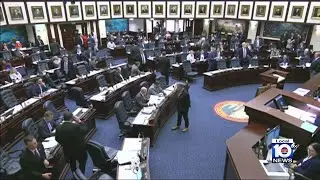 Immigration bill to fund Florida's relocation program