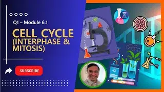 Q1 - Module 6.1 - The Cell Cycle Interphase and Mitosis