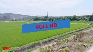 Full HD Video (1080P) with Cebuano Song