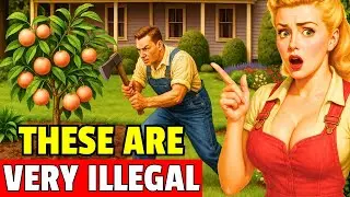 20 Ordinary Garden Plants That Turned ILLEGAL Overnight