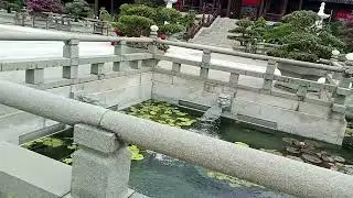 Chinese garden very peaceful and a traditional design and art works