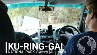 KU-RING-GAI NATIONALPARK - Sydney, Australia