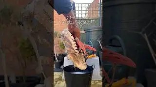 Cleaning the adidas Predator FT Elite 25 #adidas #footballboots #football