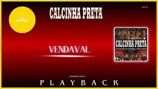 Calcinha Preta - Vendaval (Backing Vocal) PLAYBACK TOM MASCULINO