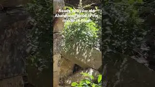 Check out my full tour of these ruins if canal locks lost in time!