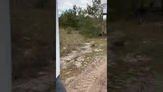 Old Deer Stand in Green Cove Springs Florida.