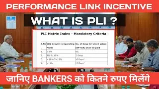 WHAT IS PLI || PERFORMANCE LINK INCENTIVE || HOW PLI DECIDED || #pli #performancelinkincentive
