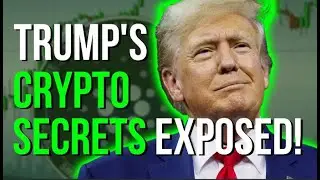 What does Trump&rsquo;s Victory Mean for the Cryptocurrency Market? | Bitcoin | Doge | Ethereum | Binance