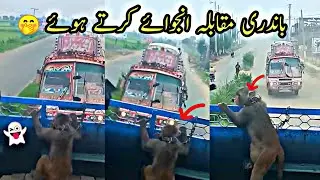 Bandri tym🐒||Dangerous Bus Race On Pakistan Highway🛣️||PK Bus Tuber🇵🇰