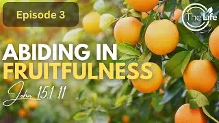 Abiding in Unity | Pastor Chris Eke