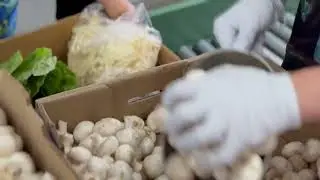 St. Vincent de Paul Food Bank, Pasco, WA
