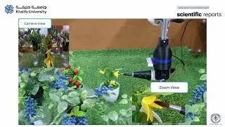 Deep learning approach for detecting tomato flowers and buds in greenhouses on 3P2R gantry robot