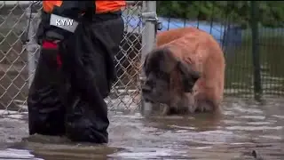 Severe flooding in south NJ, Philadelphia