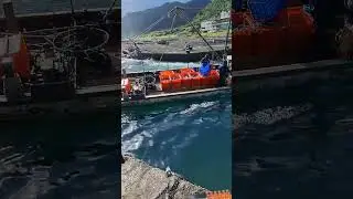 活跳跳 新鮮野生海魚 Amazing jumping fresh fishes! 源興定置漁場 #fishing #netting #freshfish 3 2 05 25 2025 May 1748