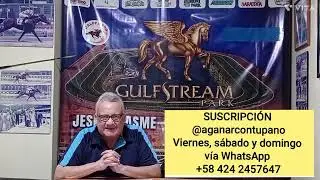 @AGANARCONTUPANO. Regalitos carreras de Gulfstream Park del 14/3/25🐎💸✨