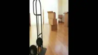 Moving Kingston