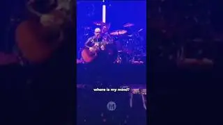 The Pixies ft. Placebo - Where is my mind 🎵🎶🎵🎶 #musiclive #music  #myvytech #thepixies #placebo