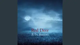 At The Meadows