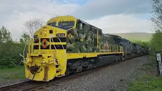 Berkshire & Eastern 7876 leads a set of C40s