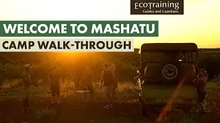 Have you ever wondered what the Mashatu camp offers? | EcoTraining