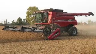 Soybean Harvest 2020 | Case IH 7230 Harvesting Soybeans | Ontario, Canada