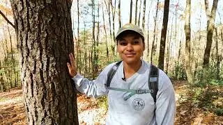 Virtual Guided Hike: Sassafras Mountain