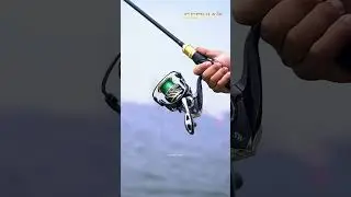 Iroly Sephia SW Clicker Test