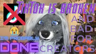 TikTok is a Bad Platform with Problems (Venting About My Experience as a Furry Musician on TikTok)
