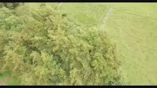 Yorkshire Dale's - Swaledale