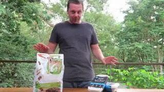 RAW vs DRY Dog Food