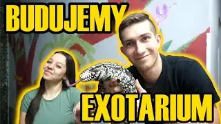 BUDUJEMY EGZOTARIUM! - Exotarium Krak&oacute;w - Vantis Terra