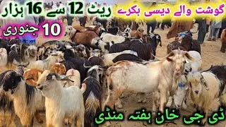 10 January 2026 Desi Goats Market Dera Ghazi Khan Prices Only 12000 to 16000 Pakistan ki Badi Mandi