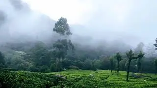 Munnar Kerala Video From Top