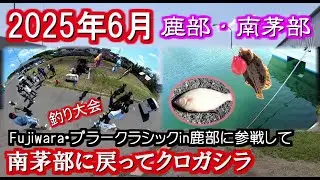 【釣り】【ブラー】鹿部で釣り大会「ブラークラシック」に参戦し、南茅部に戻ってクロガシラ釣っています。