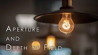 How To Use Aperture To Take Great Photos