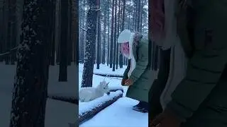 Сказка стала реальностью 🦄❄️