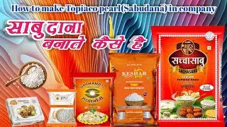 How to make tapioca pearls inside Huge factory _sabudana production india.