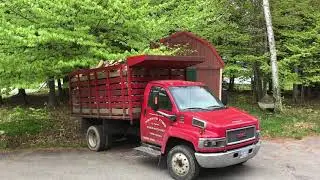 Arthur York Firewood
