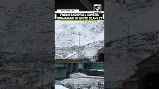 Snowfall transforms Sonamarg into a scenic winter escape
