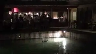 Goodron Live @Seebad Luzern 2012 (acoustic)