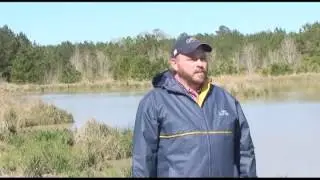 Allen Langley - Conservation is Peace of Mind