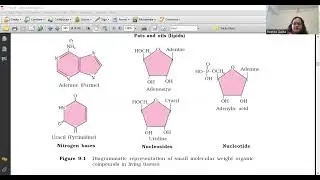 Biomolecules, Part 5