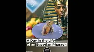 A Day in the Life of an Egyptian Pharaoh