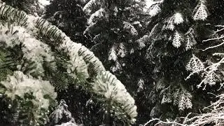 Snow Piano Music: Deep Sleeping, Music Studying, Relaxing Music, Stress Relief, Meditation Music