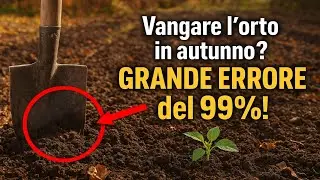 Vangare lorto in autunno? Sbagli! &Egrave; il GRANDE ERRORE del 99% degli ortolani.