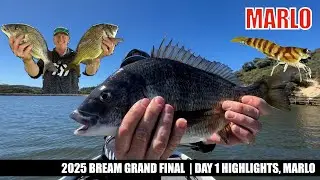 2025 BREAM Grand Final Day 1 Marlo highlights
