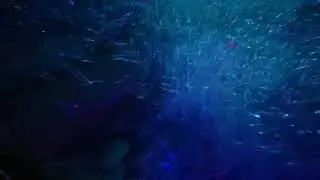 POV: Diving Under the Sea on Finding Nemo Submarine Voyage