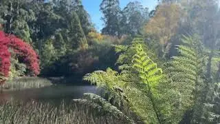 Psalm 42| Zaboor 42| भजन संहिता 42| God&lsquo;s Word | 